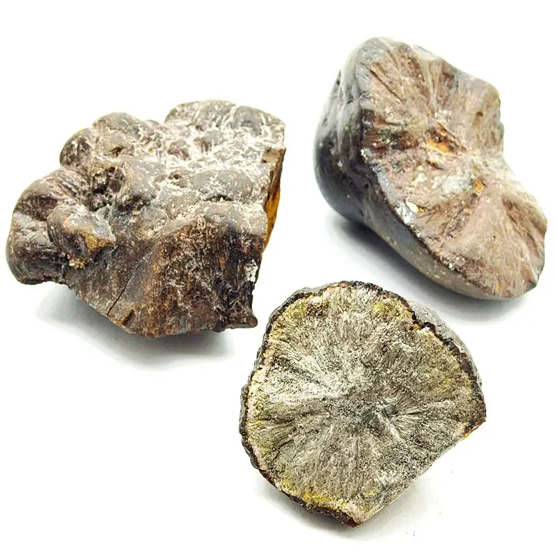 Markasit Knollen, Einzelstücke bis 200 g